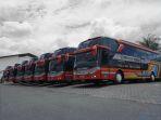 bus-rosin.jpg