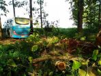 bus-tersesat-di-tengah-hutan-jati-di-blora_20170313_154806.jpg