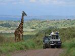 cagar-alam-ngorongoro.jpg