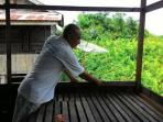 cakaran-beruang_20151031_160752.jpg