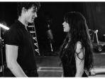 camila-cabello-dan-shawn-mendes.jpg