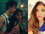 camila-cabello-feat-shawn-mendes-dan-via-vallen.jpg
