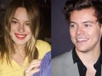 camille-rowe-dan-harry-styles1_20170802_115356.jpg