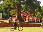 candi-muaro-jambi_20150607_014727.jpg