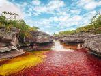 cano-cristales-river-1.jpg