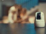 canon-powershot-pick.jpg
