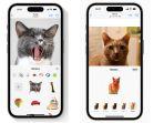cara-membuat-stiker-imessage-dengan-foto-apa-saja-di-ios-17.jpg