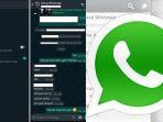 cara-mengatur-mode-gelap-whatsapp.jpg