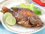 cara-menggoreng-ikan-agar-tidak-menempel-di-wajan.jpg