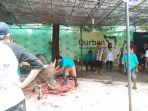 cek-kesehatan-hewan-kurban_20180822_145634.jpg