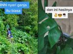 cerita-anggota-bnn-berburu-tanaman-hias-di-hutan-sempat-dicari-pimpinan-setelah-videonya-viral.jpg