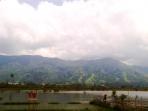 cetak-sawah_20160726_195659.jpg