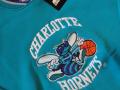 charlotte-hornets.jpg
