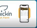 chickin-startup-ayam.jpg