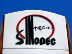 china-petroleum-dan-chemical-corp-sinopec_20170320_150005.jpg