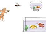 cicak-dan-ikan.jpg