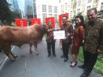 cimb-niaga-distribusikan-hewan-kurban-di-lima-kota_20170831_125252.jpg
