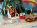 cockroach-museum.jpg