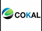 cokal_20180112_212326.jpg