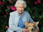 corgi_20180419_074544.jpg