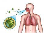 coronavirus.jpg