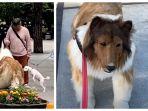 Pria Jepang Cosplay jadi Anjing Habiskan Rp228 Juta, Sembunyikan Identitas hingga Dicemooh Orang