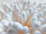 cotton-bud_20151207_064417.jpg