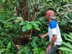 Semangat Petani Salak Binaan BRI di Bali Perluas Usaha Lewat “Klasterku Hidupku”