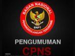 cpns-bnpt-2019.jpg