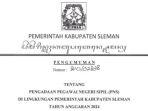 cpns-pemkab-sleman-2024.jpg