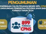 cpns-pemprov-jabar-2024.jpg