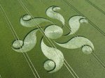 crop_circle_fenomena.jpg