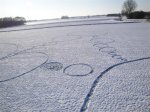 crop_circle_salju.jpg