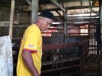 curi-kambing1222.jpg