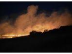 daerah-galilea-atas-di-israel-terbakar.jpg