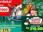 daftar-promo-tiket-wisata-spesial-hut-ke-79-ri-ada-tmii-ancol-hingga-taman-safari.jpg