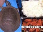 daging-kura-kura-china-89.jpg
