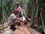 damkar-kayu-meranti-zamrud_20151015_110950.jpg