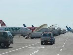 dampak-erupsi-gunung-barujari-di-bandara-ngurah-rai_20151104_234147.jpg