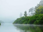 danau-sebangau_20180501_120409.jpg