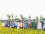 daun-agro-23.jpg