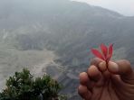 daun-manarasa-dipercaya-bikin-awet-muda_20180502_123226.jpg