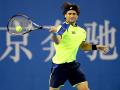 david-ferrer-konenggggg.jpg