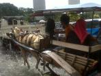 delman-banjir_20150210_173809.jpg