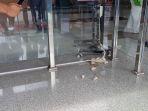 demo-lempar-tikus-ke-kpk.jpg<pf>demo-lempar-telur-ke-kpk.jpg