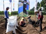 BUMN Perkebunan Ini Tingkatkan Pola Kemitraan untuk Tingkatkan Produksi Tebu