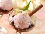 dengan-resep-es-krim-kelapa-muda-kita-tak-perlu-ke-resto-untuk-bisa-menyantap-kudapan-istimewa.jpg