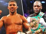 deontay-wilder-vs-anthony-joshua_20180302_132307.jpg