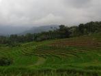 desa-negeri-suah_20151220_164244.jpg