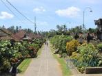 10 Provinsi dengan Jumlah Desa Terbanyak di Indonesia: Jateng Punya 8.563 Desa